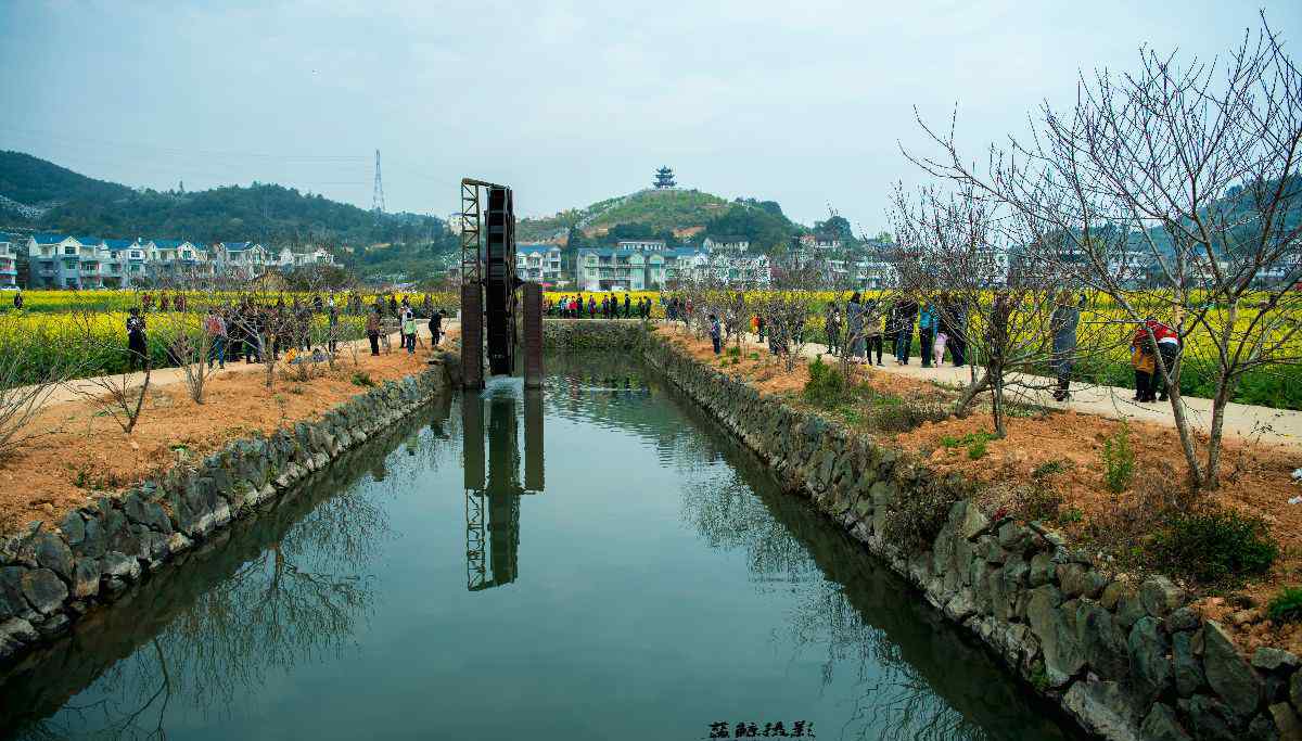 澳柄村 在路上-涵江澳柄村/坪盤村之旅