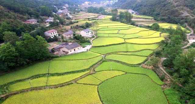 一頃土地和一公頃土地，等于多少畝的土地呢？今天算長(zhǎng)見識(shí)了