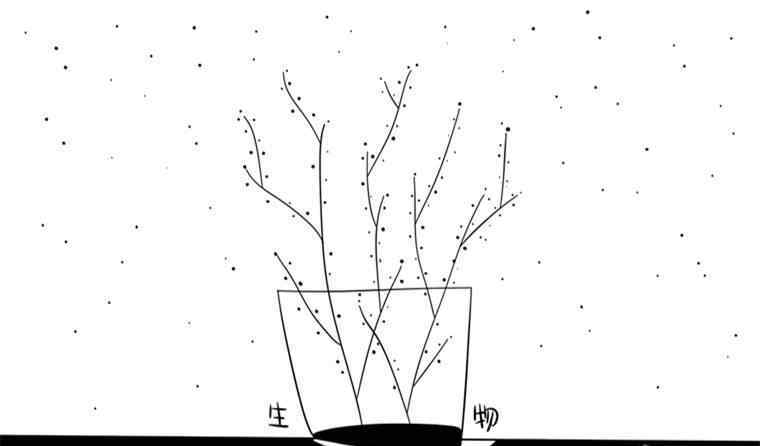 藻類植物 藻類植物的繁殖方式是什么