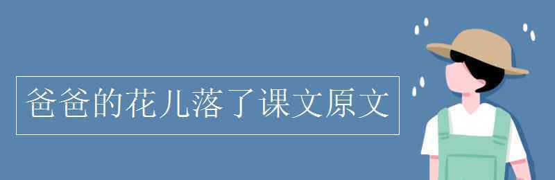 爸爸的花兒落了 爸爸的花兒落了課文原文