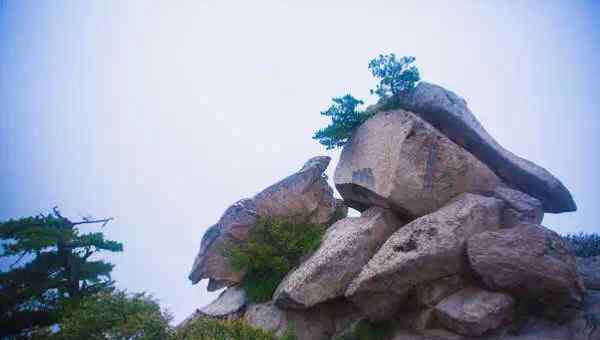 奇險(xiǎn)天下第一山 華山論劍●“奇險(xiǎn)天下第一山”到底“奇”在哪里