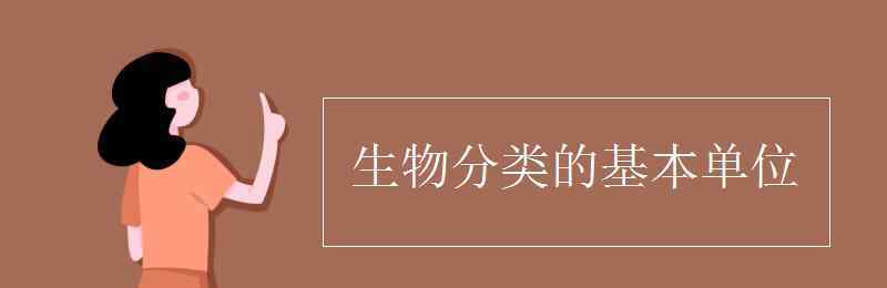 生物分類的基本單位 生物分類的基本單位