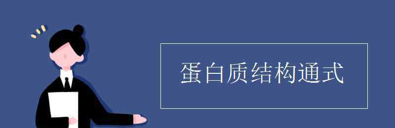 蛋白質(zhì)結(jié)構(gòu)通式 蛋白質(zhì)結(jié)構(gòu)通式