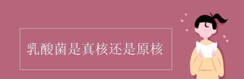 乳酸菌是真核還是原核 乳酸菌是真核還是原核