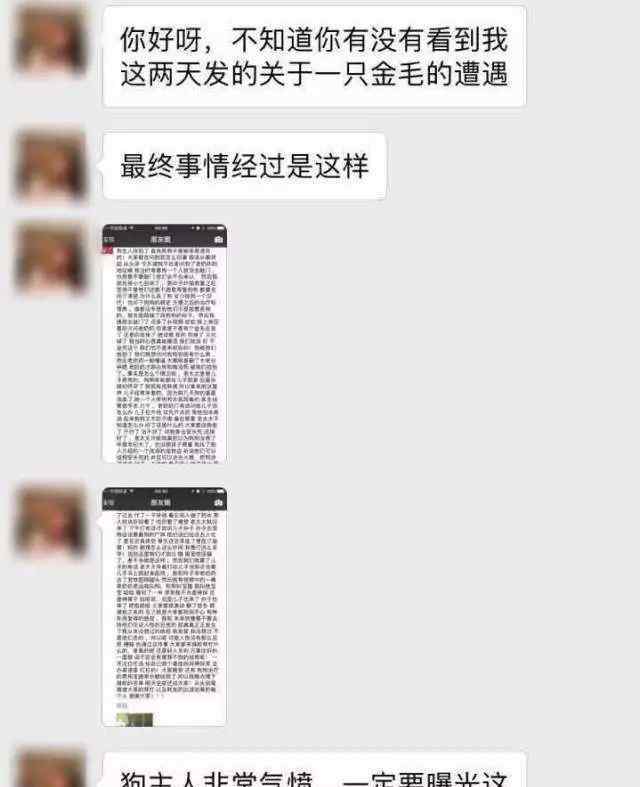 寵物用品店給狗狗安樂死收了錢竟那樣看待小狗.