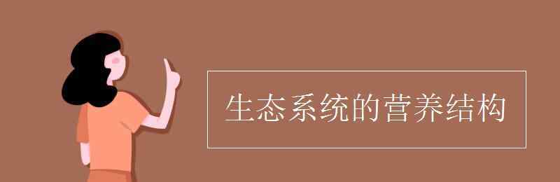 生態(tài)系統(tǒng)的營(yíng)養(yǎng)結(jié)構(gòu) 生態(tài)系統(tǒng)的營(yíng)養(yǎng)結(jié)構(gòu)