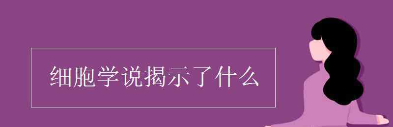 細(xì)胞學(xué)說揭示了什么 細(xì)胞學(xué)說揭示了什么