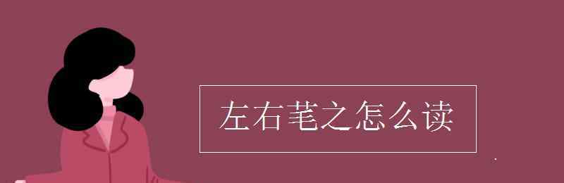 芼怎么讀 左右芼之怎么讀