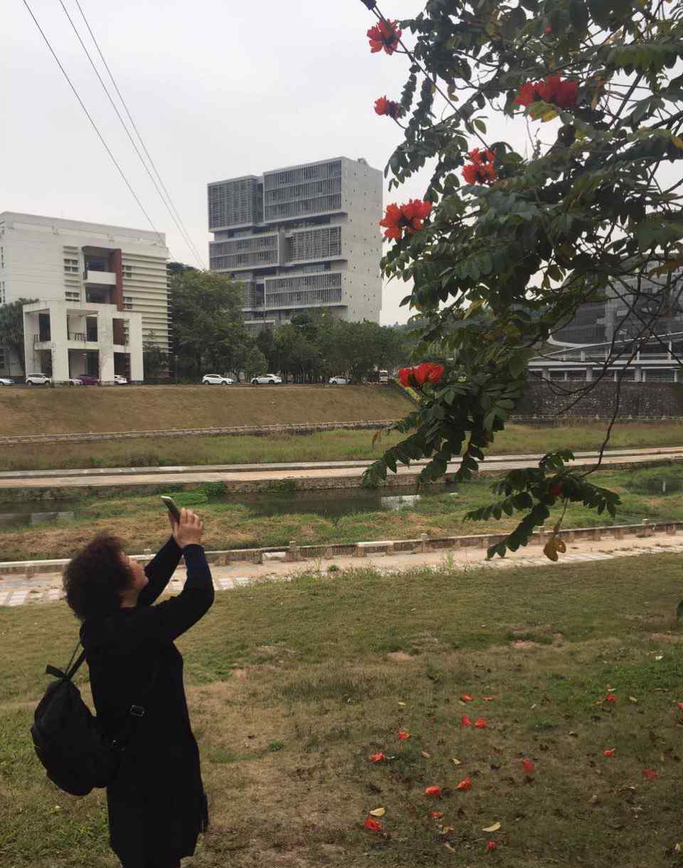 深圳大學圖書館 深圳大學城圖書館