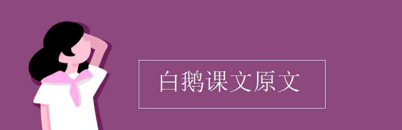 白鵝課文 白鵝課文原文