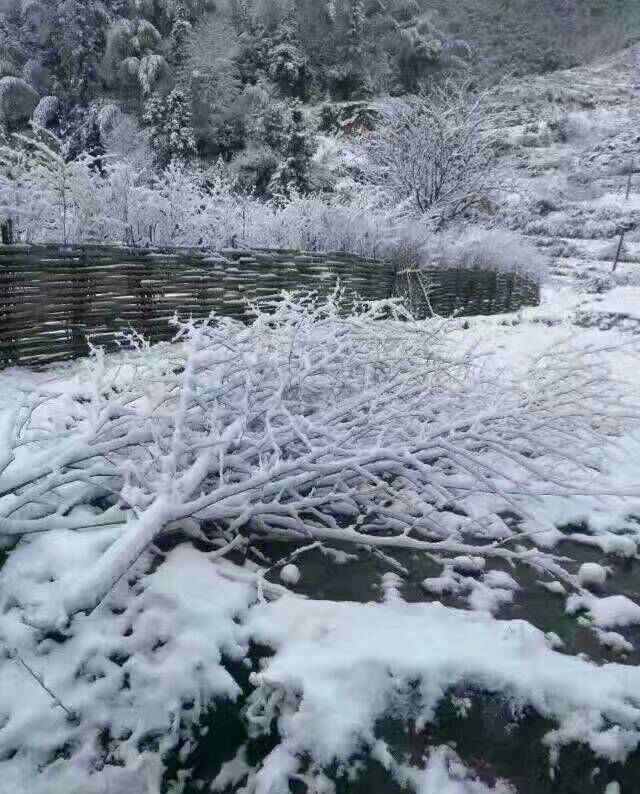 布永康 如何看待福音派與靈恩派的區(qū)別？