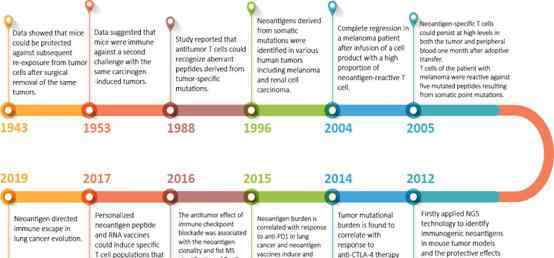 腫瘤細(xì)胞免疫治療 腫瘤新生抗原：從發(fā)現(xiàn)到腫瘤免疫治療