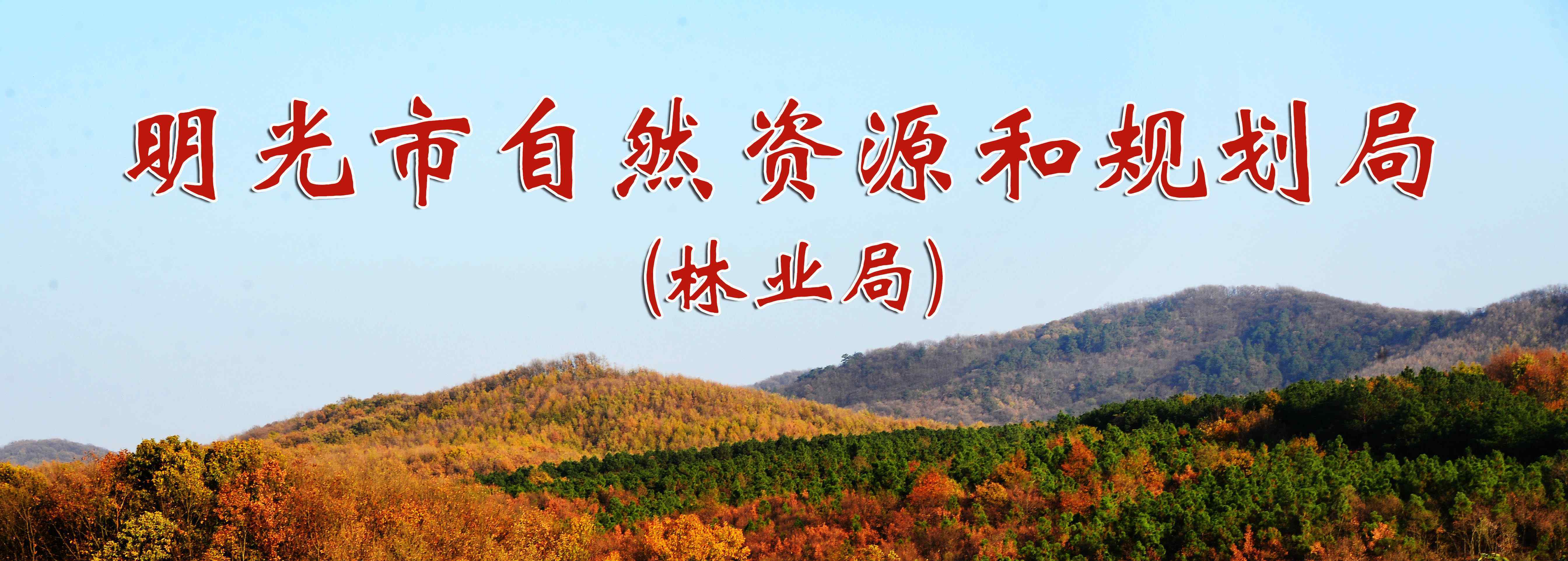 陳世鋒 10月13日明光市自然資源和規(guī)劃局工作動(dòng)態(tài)