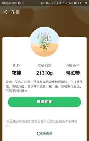 花棒需要多少能量 支付寶螞蟻森林花棒是什么 大概需要21310g能力