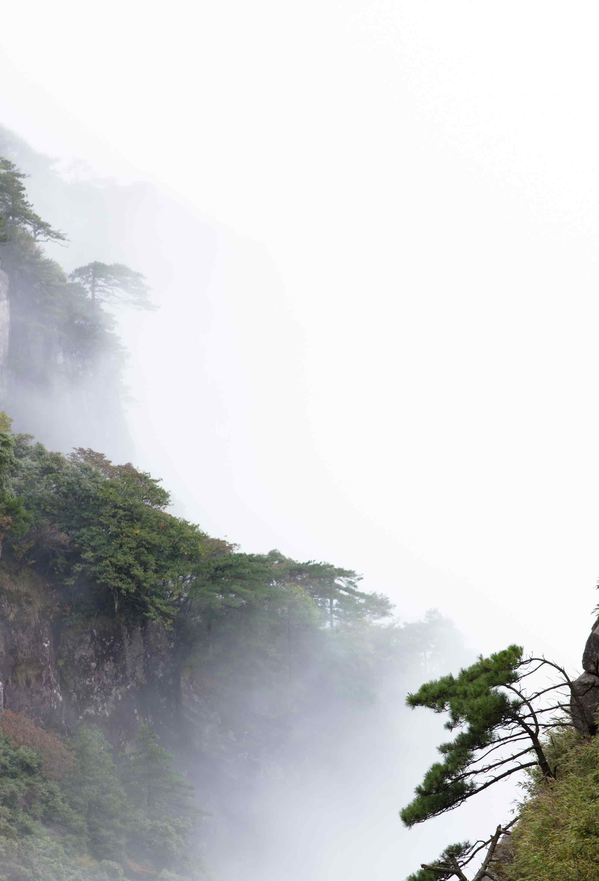 從此以后你是你我是我 從此以后你不再是遙遠(yuǎn)的風(fēng)景