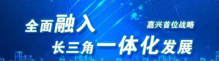 第五屆互聯(lián)網(wǎng)大會 第五屆中國工業(yè)互聯(lián)網(wǎng)大會·嘉興峰會召開