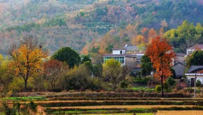 牛王寨 收藏這份廬江秋游地圖，開啟一場說走就走的賞秋之旅吧！