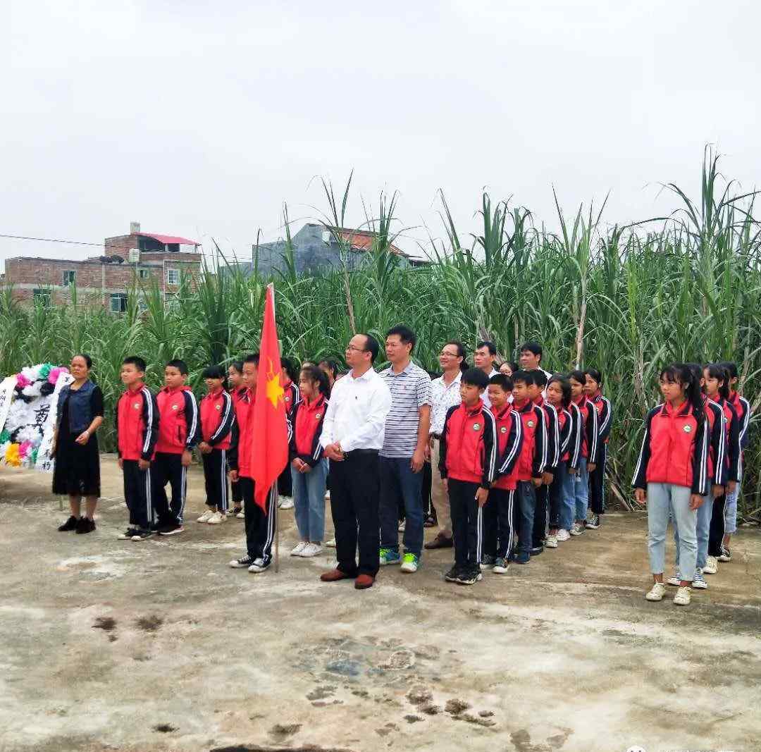 國家公祭日活動 【國家公祭日】平陽鎮(zhèn)開展2020年烈士紀念日公祭活動