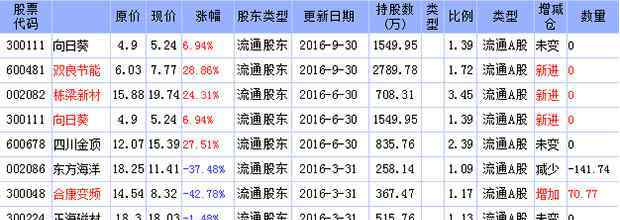 濮文 2016年牛散濮文最新持股一覽