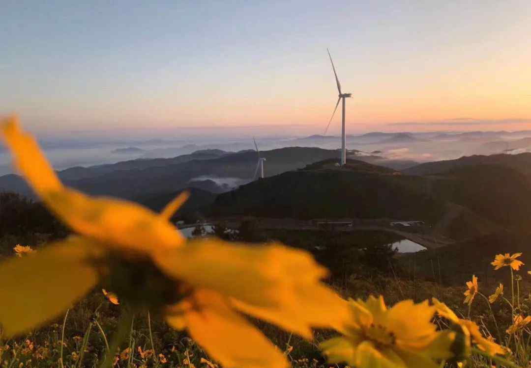 白溪草場 國慶長假，到古田尋找秋天的色彩