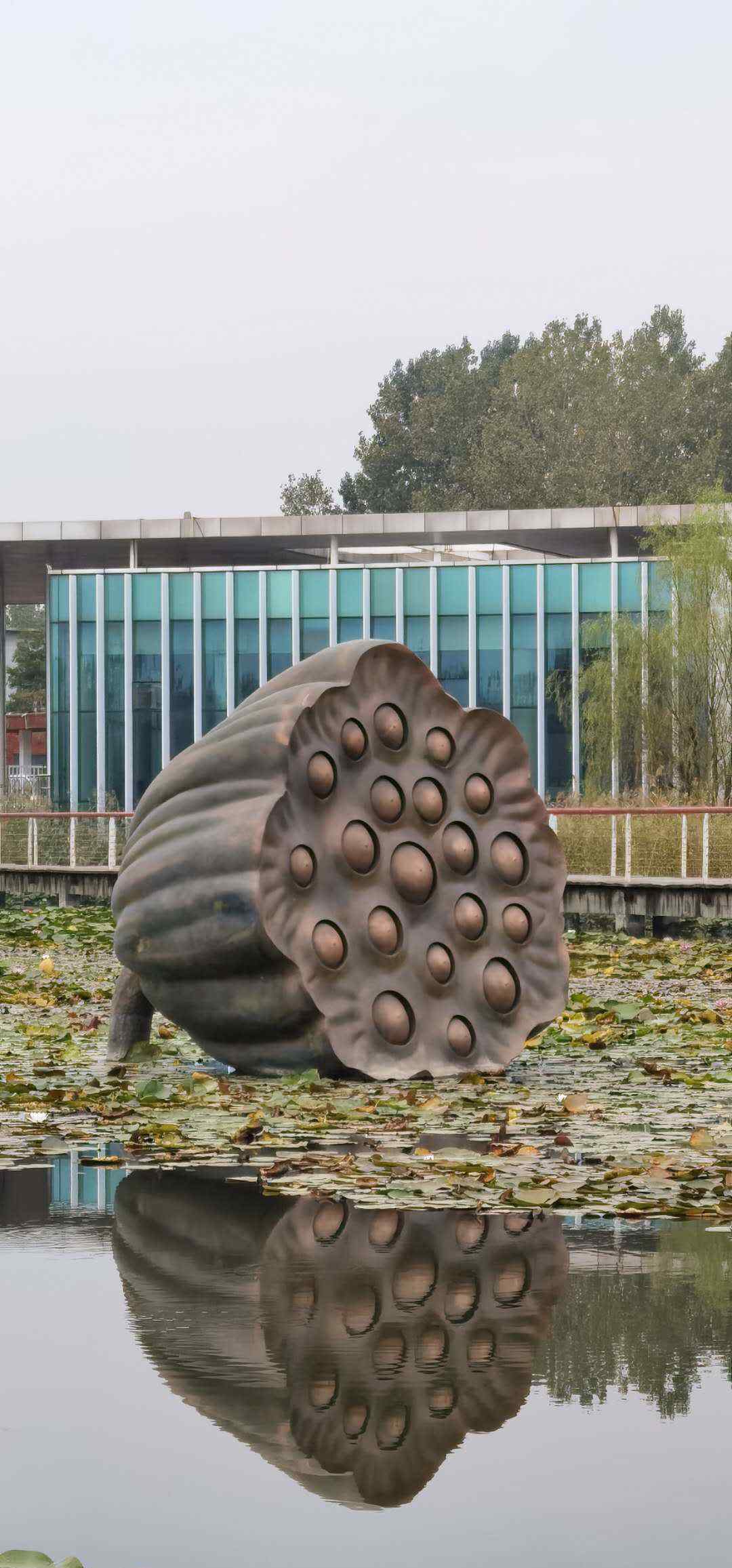 微山湖濕地公園 滕州微山湖紅河濕地公園