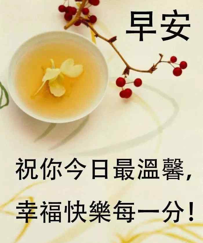 馬克李維 早安:馬克·李維《偷影子的人》