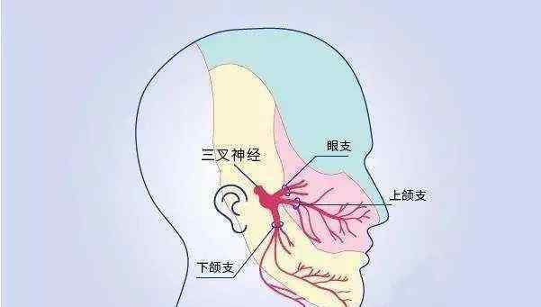 痛風(fēng)藥排名 疼痛排名前五的疾病，經(jīng)歷過的都是勇士