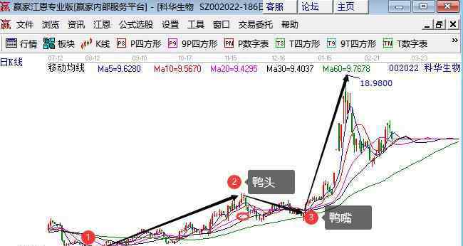 股票老鴨頭形態(tài)圖解 股票老鴨頭形態(tài)圖解，老鴨頭K線形態(tài)走失敗原因