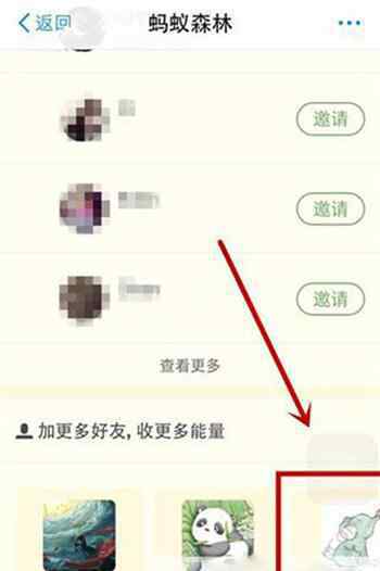 支付寶怎么加好友 支付寶螞蟻森林怎么添加好友？