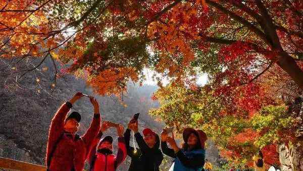 青島毛公山風景區(qū)門票 12家！青島免門票景區(qū)最強預(yù)約攻略來啦