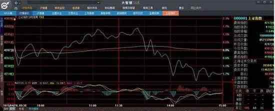 深中冠 a股是深市還是滬市，深市和滬市的區(qū)別是什么