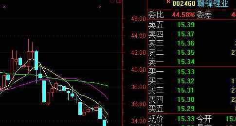 什么是配股 配股是什么意思，配股的種類及操作流程是什么？