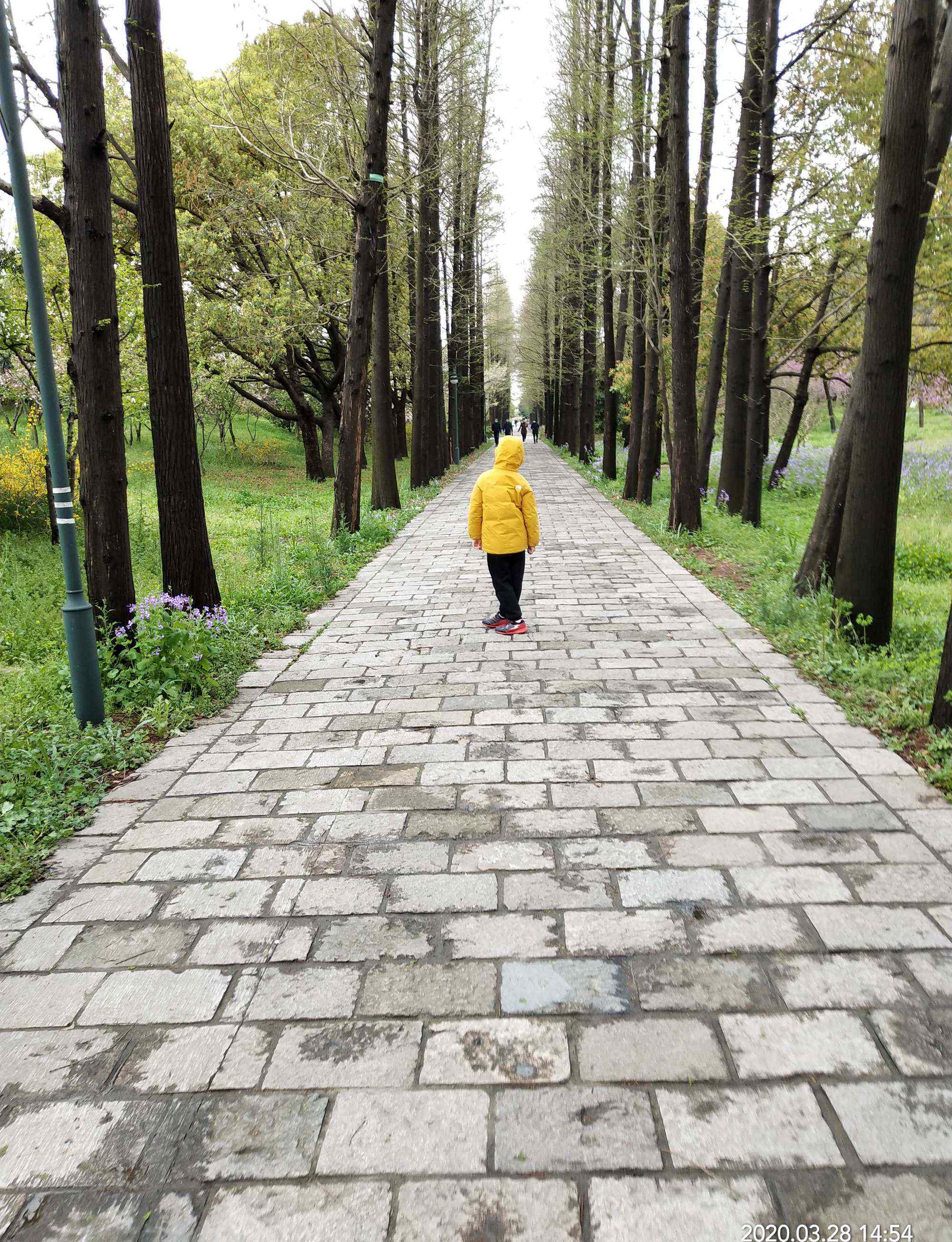 上海濱江森林公園 上海濱江森林公園