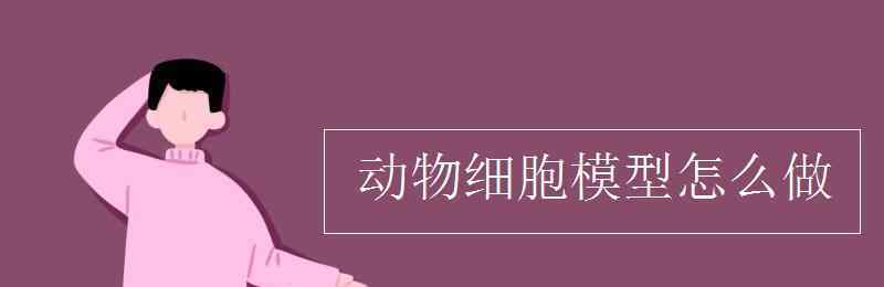 細胞模型 動物細胞模型怎么做