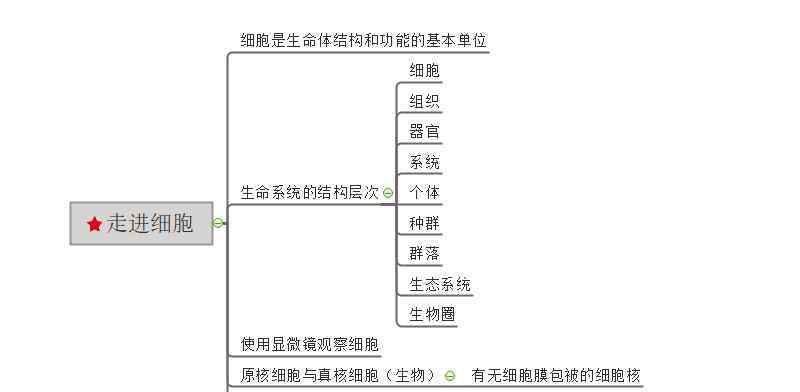 生物必修一第五章思維導(dǎo)圖 畫生物必修一的思維導(dǎo)圖