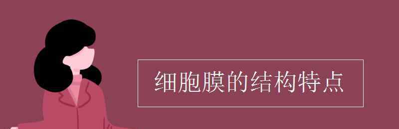 細(xì)胞膜的結(jié)構(gòu)特點 細(xì)胞膜的結(jié)構(gòu)特點