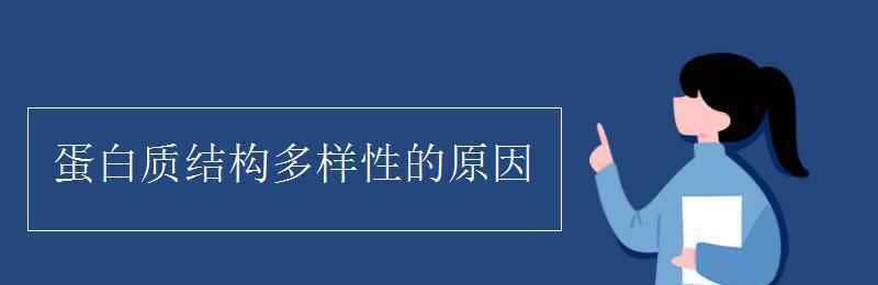 蛋白質(zhì)結(jié)構(gòu)多樣性的原因 蛋白質(zhì)結(jié)構(gòu)多樣性的原因