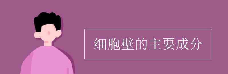 細胞壁的主要成分 細胞壁的主要成分