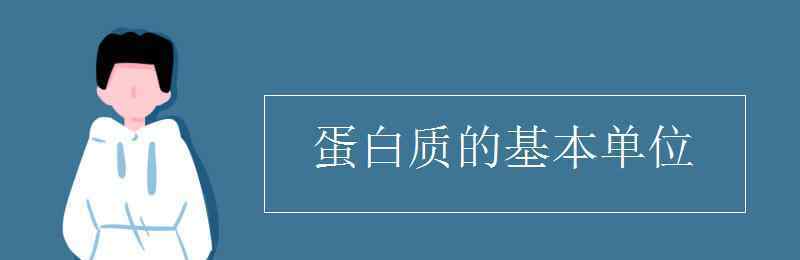 蛋白質(zhì)的基本組成單位 蛋白質(zhì)的基本單位