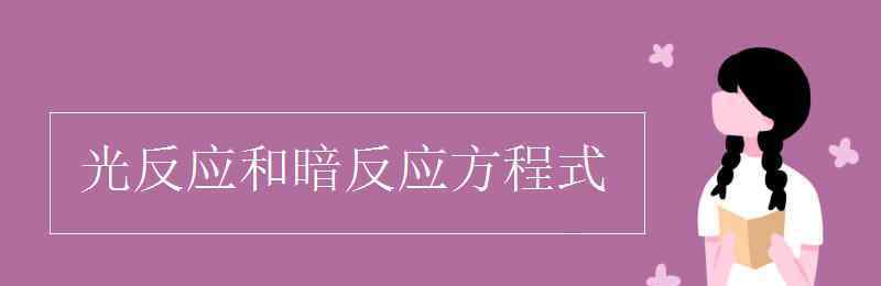 暗反應(yīng)方程式 光反應(yīng)和暗反應(yīng)方程式