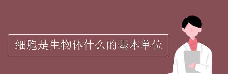 組成生物體的基本單位 細胞是生物體什么的基本單位