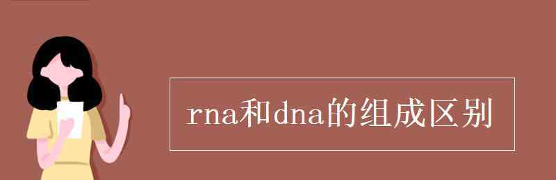 rna和dna的組成區(qū)別 rna和dna的組成區(qū)別