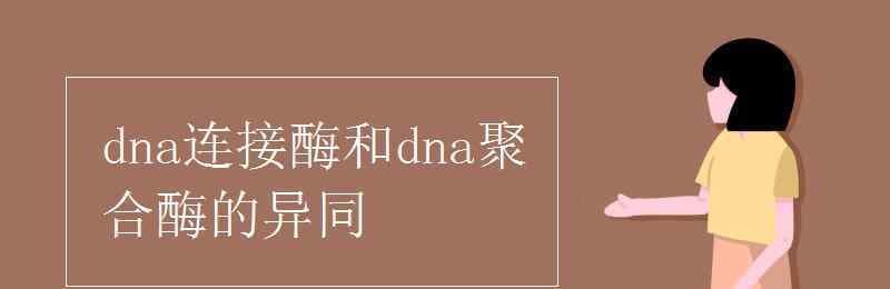 dna連接酶和dna聚合酶的異同 dna連接酶和dna聚合酶的異同