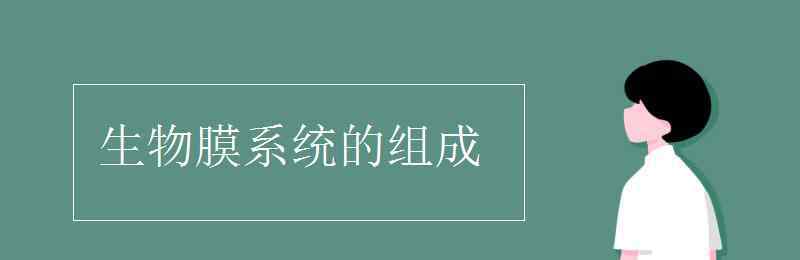 生物膜系統(tǒng)的組成 生物膜系統(tǒng)的組成