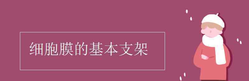 細(xì)胞膜的基本支架 細(xì)胞膜的基本支架