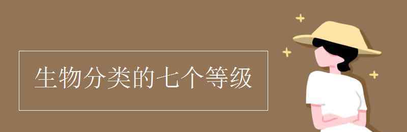 生物分類的七個等級 生物分類的七個等級