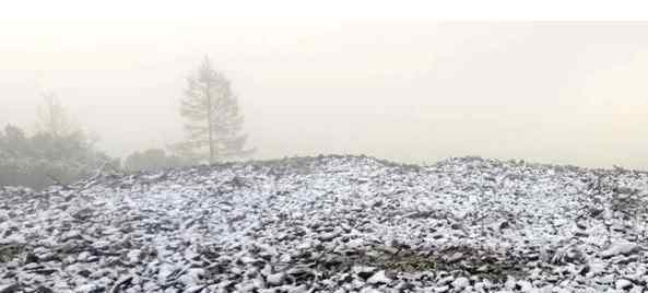 中國最冷的城市排名 中國最冷小鎮(zhèn)迎來2020年首場降雪：中國最冷小鎮(zhèn)是哪里，國內(nèi)最冷的城市是哪個？