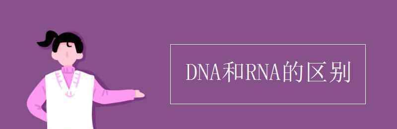 dna和rna區(qū)別 DNA和RNA的區(qū)別