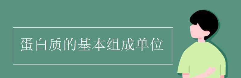 組成蛋白質的基本單位 蛋白質的基本組成單位