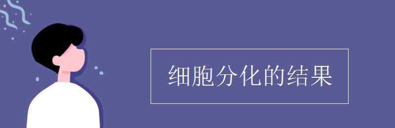 細(xì)胞分化的結(jié)果 細(xì)胞分化的結(jié)果